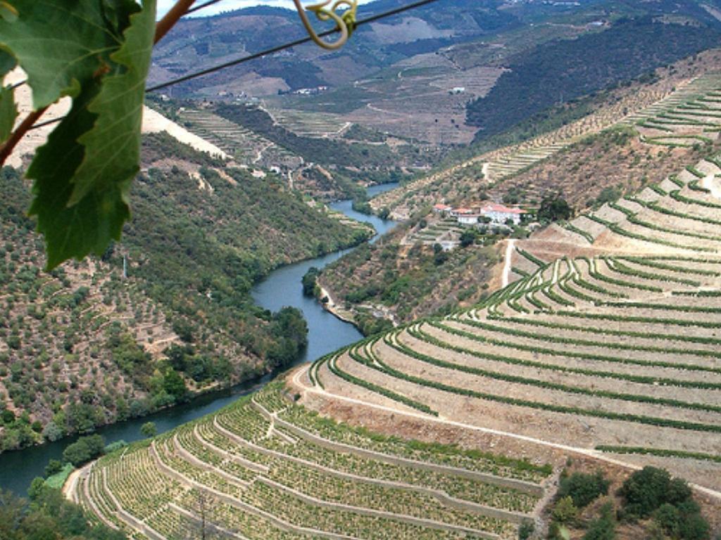 Douro House Loft Villa Tabuaco Bagian luar foto